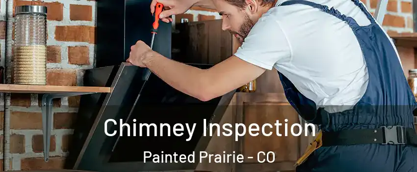 Chimney Inspection Painted Prairie - CO