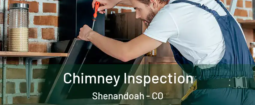 Chimney Inspection Shenandoah - CO