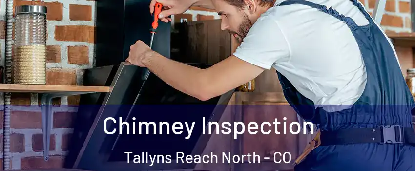 Chimney Inspection Tallyns Reach North - CO