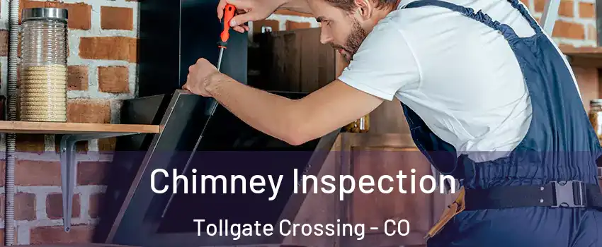 Chimney Inspection Tollgate Crossing - CO