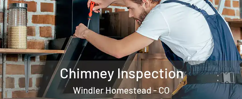 Chimney Inspection Windler Homestead - CO