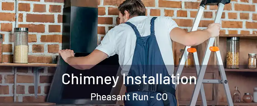 Chimney Installation Pheasant Run - CO