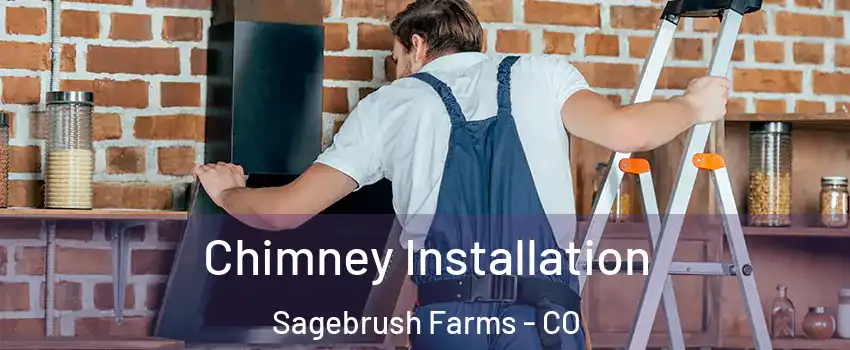 Chimney Installation Sagebrush Farms - CO