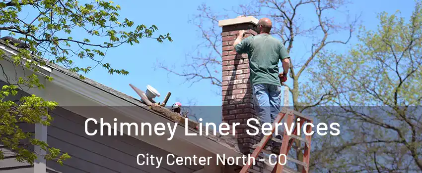 Chimney Liner Services City Center North - CO