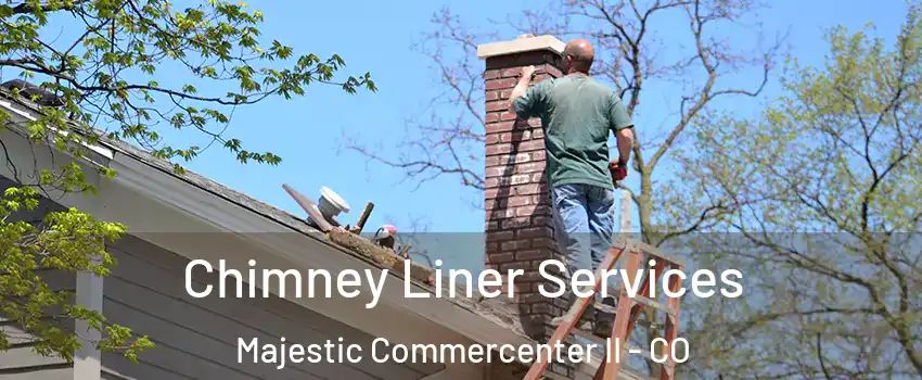 Chimney Liner Services Majestic Commercenter II - CO