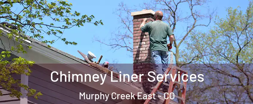 Chimney Liner Services Murphy Creek East - CO