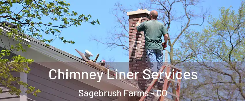 Chimney Liner Services Sagebrush Farms - CO