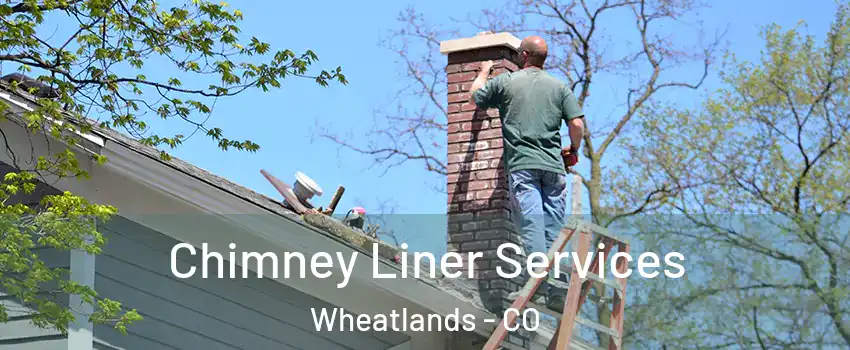 Chimney Liner Services Wheatlands - CO