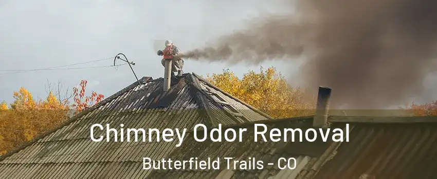 Chimney Odor Removal Butterfield Trails - CO