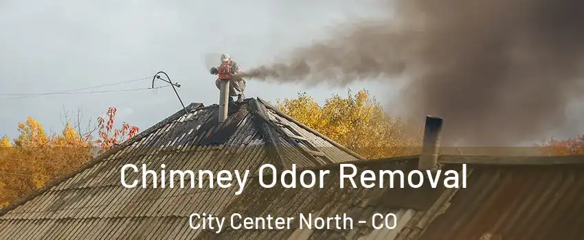 Chimney Odor Removal City Center North - CO