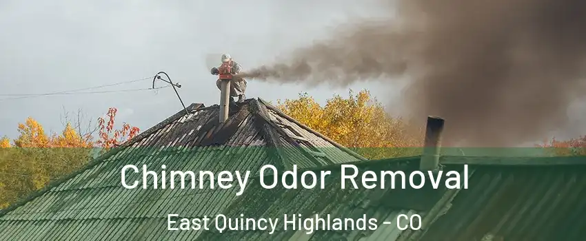 Chimney Odor Removal East Quincy Highlands - CO