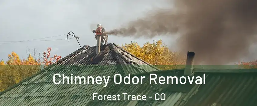 Chimney Odor Removal Forest Trace - CO