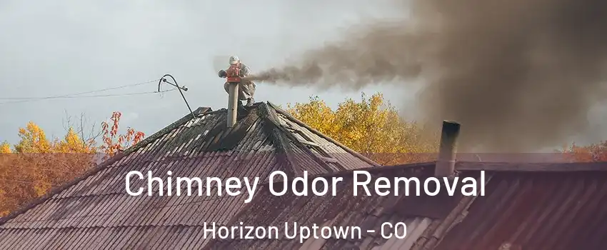 Chimney Odor Removal Horizon Uptown - CO