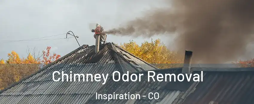 Chimney Odor Removal Inspiration - CO