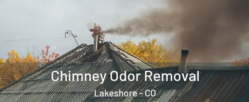 Chimney Odor Removal Lakeshore - CO