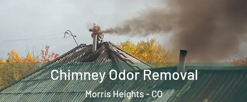 Chimney Odor Removal Morris Heights - CO