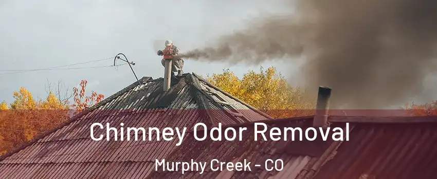 Chimney Odor Removal Murphy Creek - CO