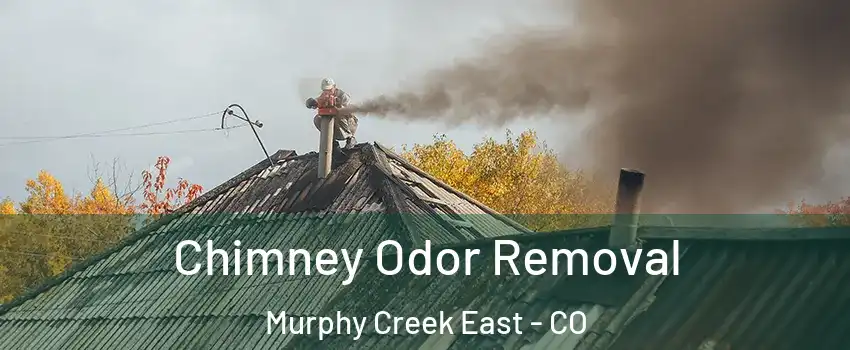 Chimney Odor Removal Murphy Creek East - CO