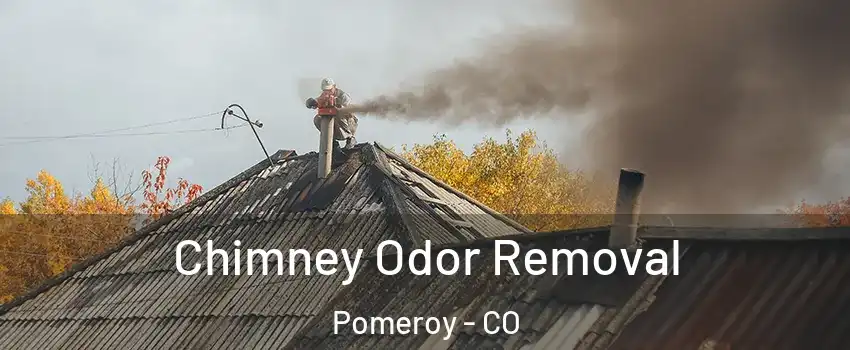 Chimney Odor Removal Pomeroy - CO