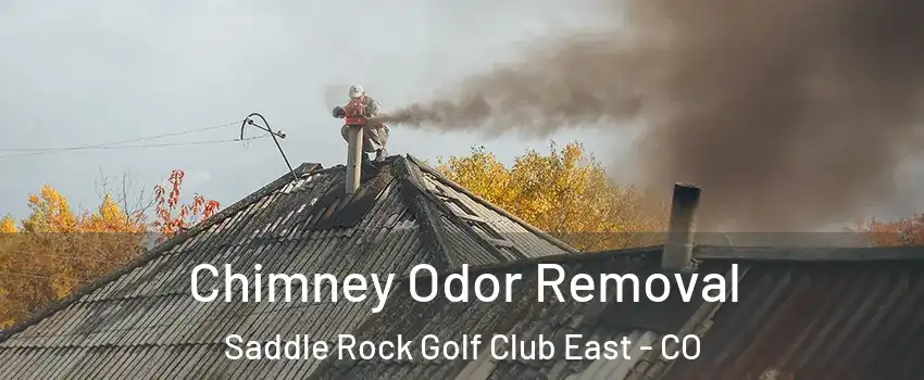 Chimney Odor Removal Saddle Rock Golf Club East - CO