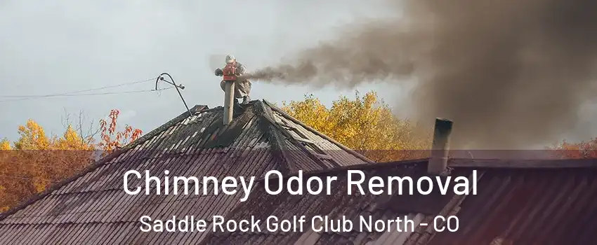 Chimney Odor Removal Saddle Rock Golf Club North - CO