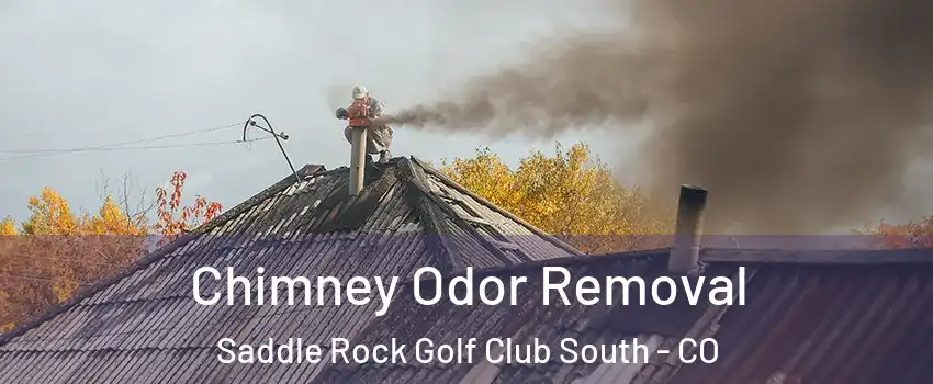 Chimney Odor Removal Saddle Rock Golf Club South - CO