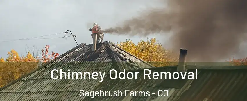 Chimney Odor Removal Sagebrush Farms - CO