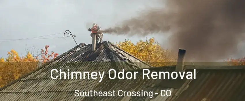 Chimney Odor Removal Southeast Crossing - CO