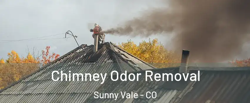 Chimney Odor Removal Sunny Vale - CO