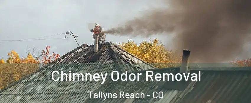 Chimney Odor Removal Tallyns Reach - CO