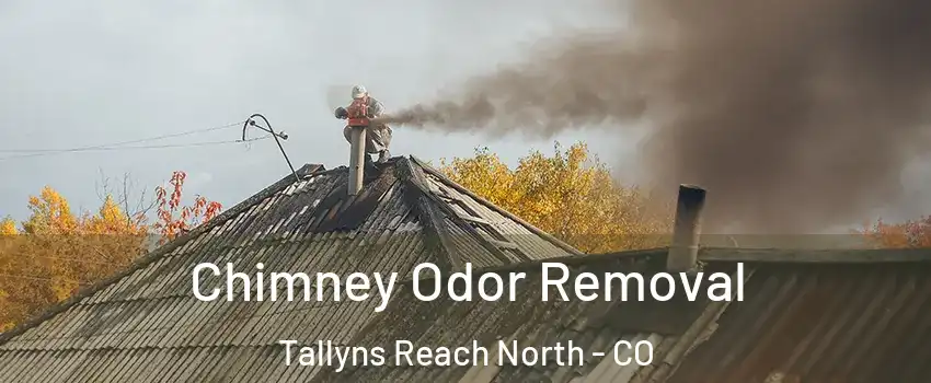 Chimney Odor Removal Tallyns Reach North - CO