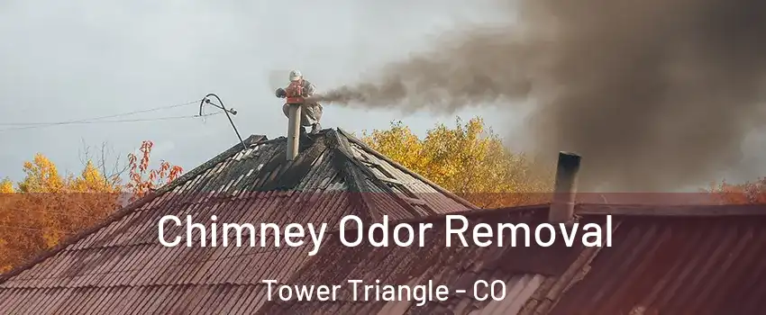 Chimney Odor Removal Tower Triangle - CO