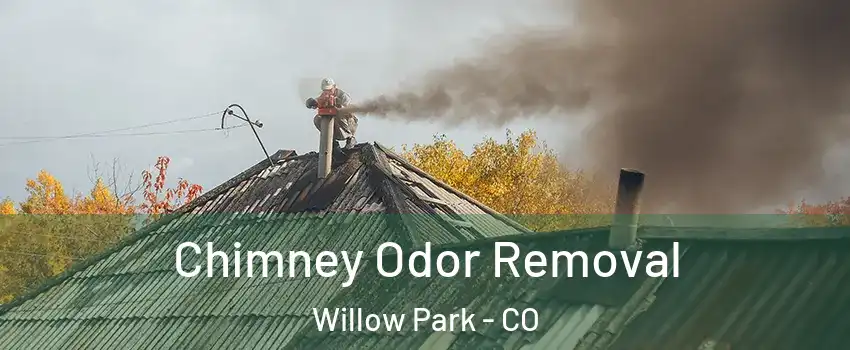 Chimney Odor Removal Willow Park - CO