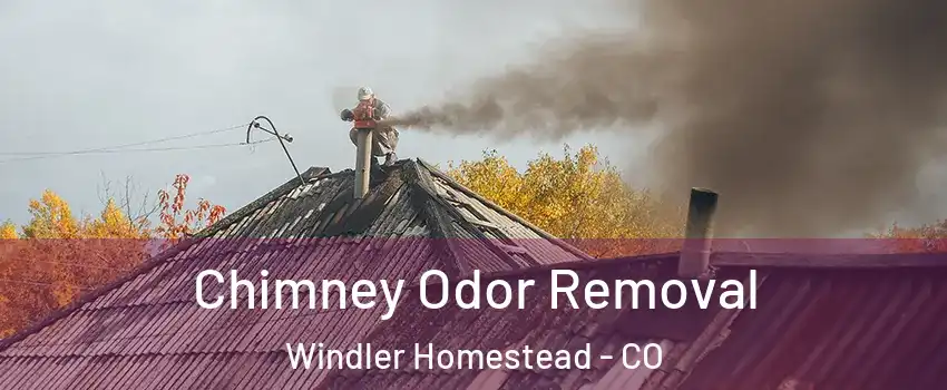 Chimney Odor Removal Windler Homestead - CO