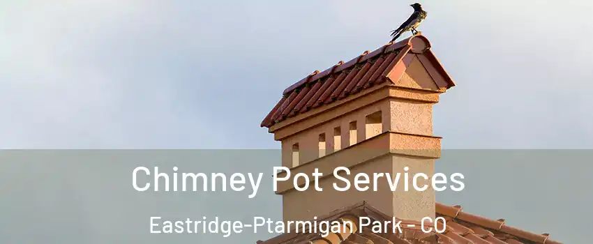 Chimney Pot Services Eastridge-Ptarmigan Park - CO