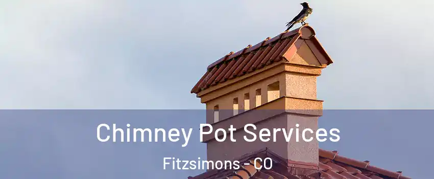 Chimney Pot Services Fitzsimons - CO