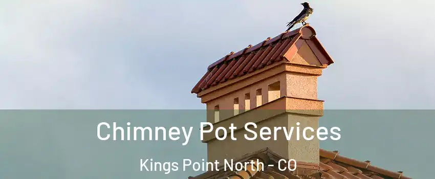 Chimney Pot Services Kings Point North - CO