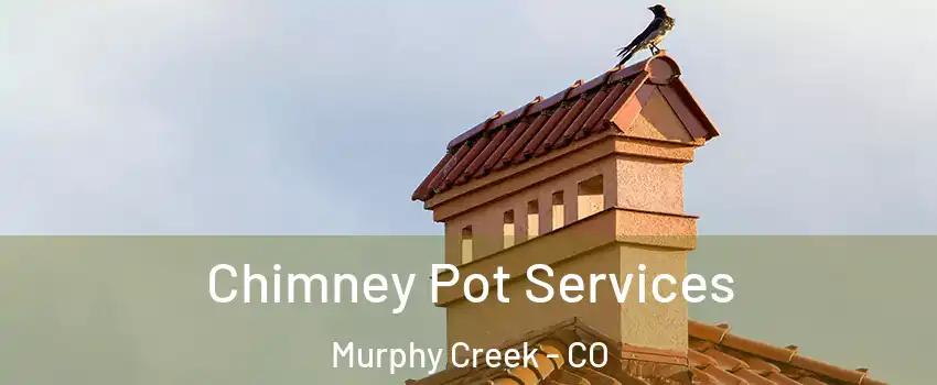 Chimney Pot Services Murphy Creek - CO