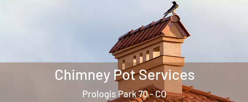 Chimney Pot Services Prologis Park 70 - CO