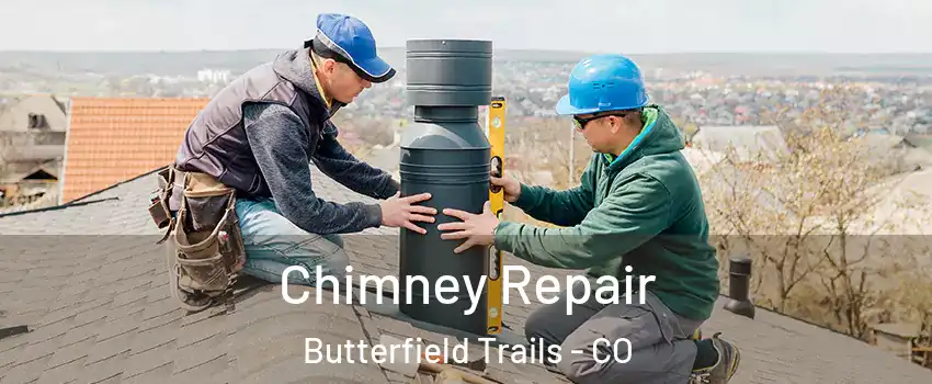 Chimney Repair Butterfield Trails - CO