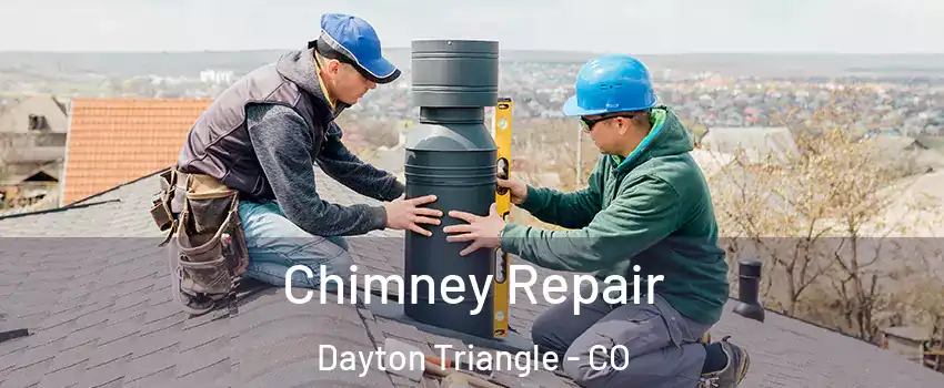 Chimney Repair Dayton Triangle - CO