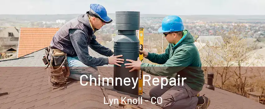 Chimney Repair Lyn Knoll - CO