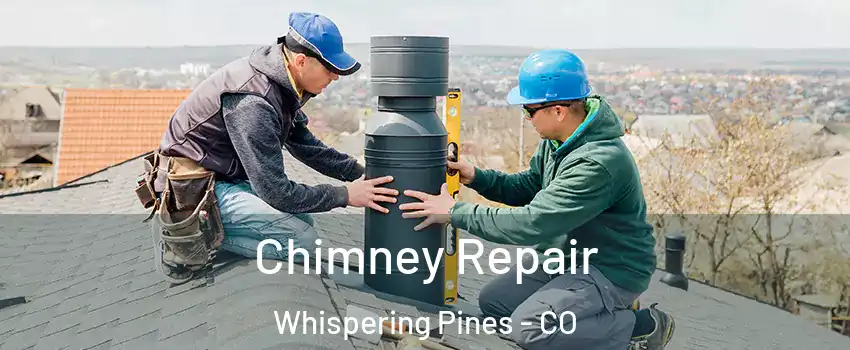 Chimney Repair Whispering Pines - CO