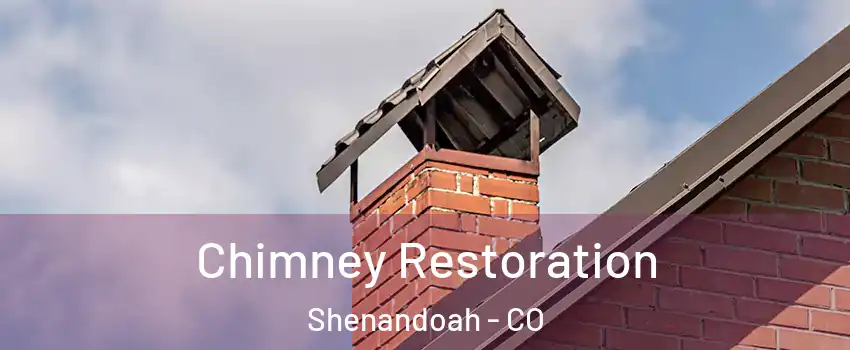 Chimney Restoration Shenandoah - CO