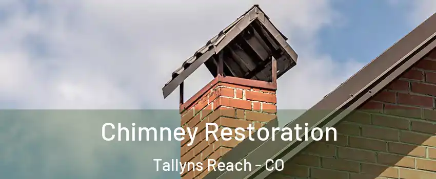 Chimney Restoration Tallyns Reach - CO