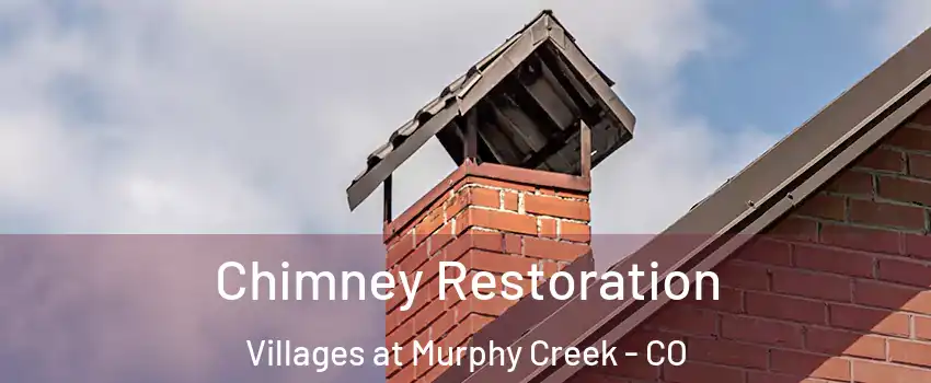 Chimney Restoration Villages at Murphy Creek - CO