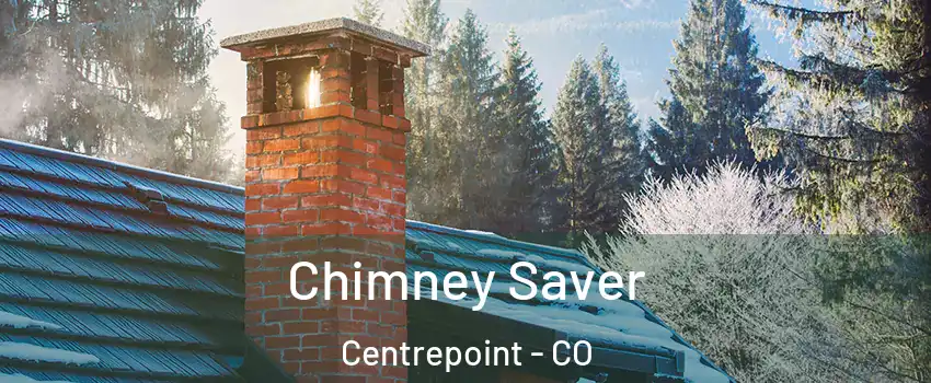 Chimney Saver Centrepoint - CO