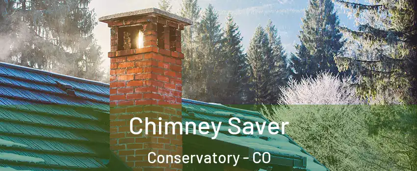 Chimney Saver Conservatory - CO