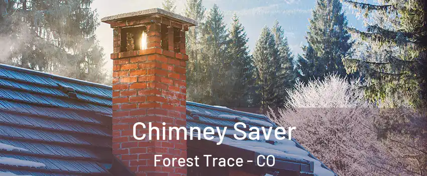 Chimney Saver Forest Trace - CO