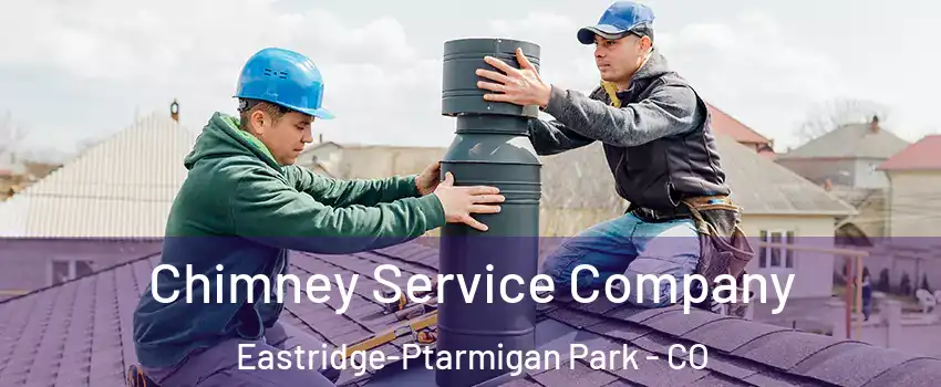 Chimney Service Company Eastridge-Ptarmigan Park - CO